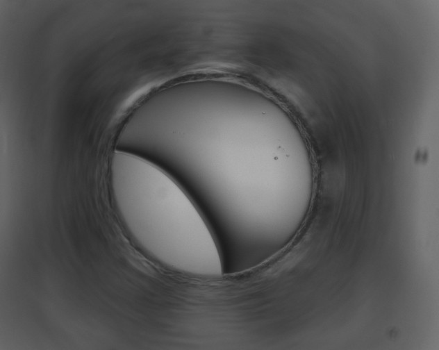 X0000096691355200802051027