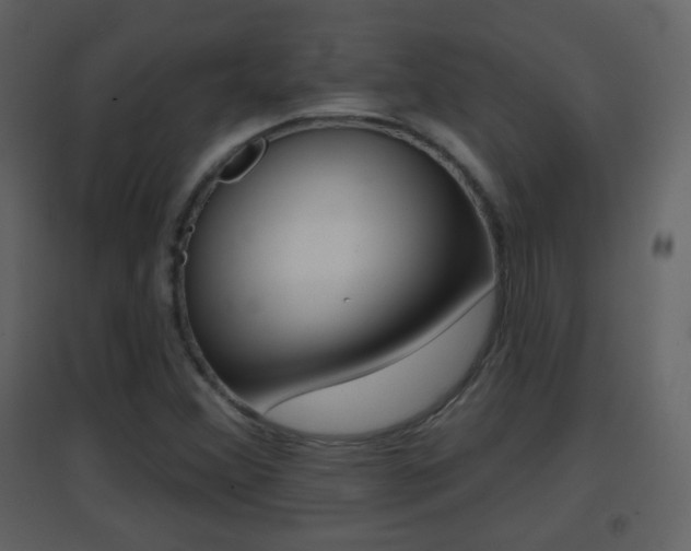 X0000096691356200802051027