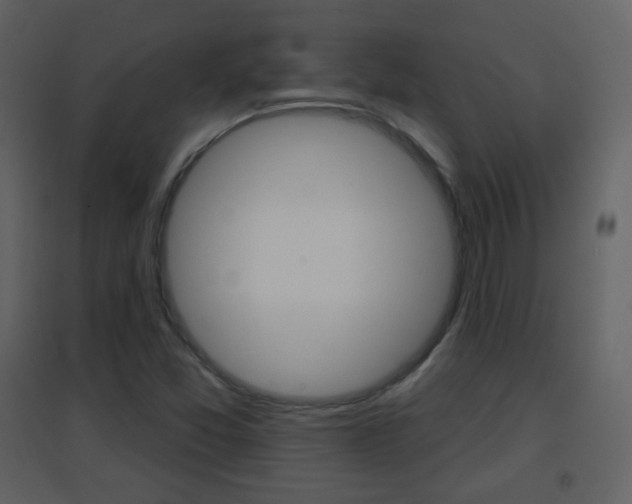 X0000096691357200802051027