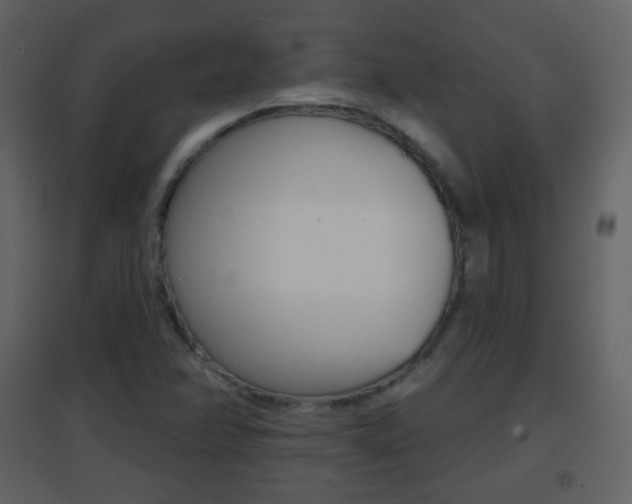 X0000096691358200802051027