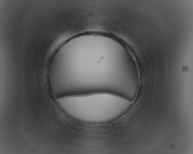 X0000096691359200802051027