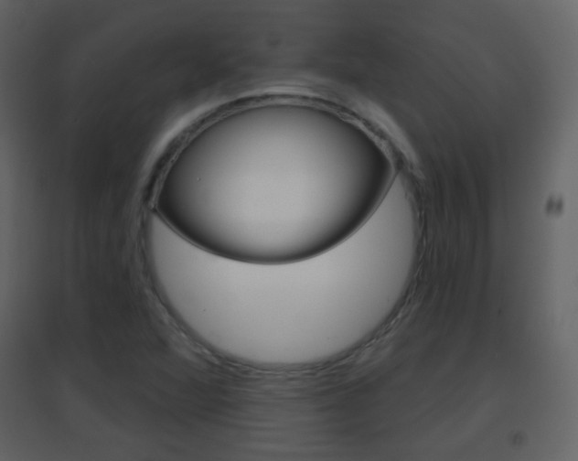 X0000096691360200802051027