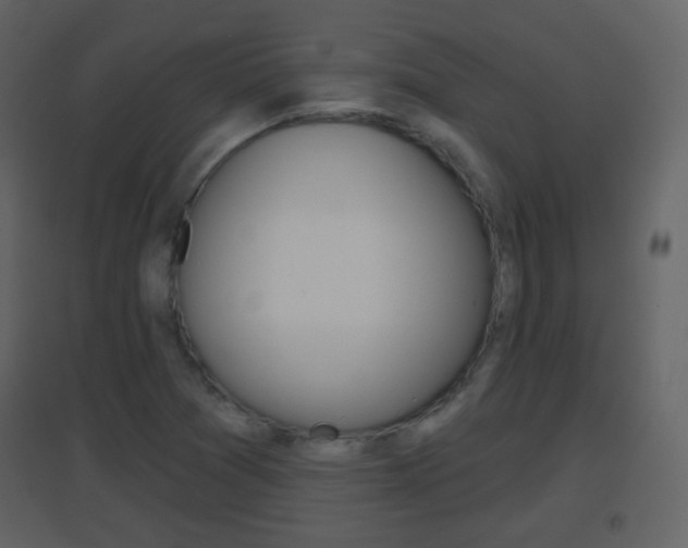 X0000096691361200802051027