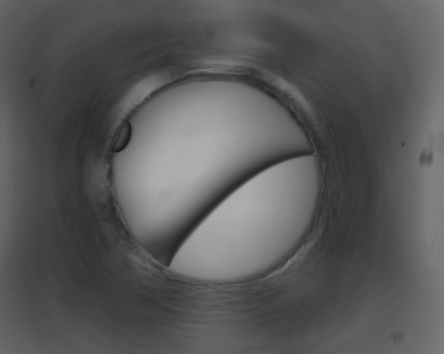 X0000096691362200802051027