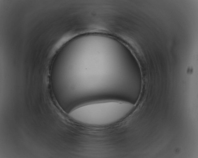 X0000096691363200802051027