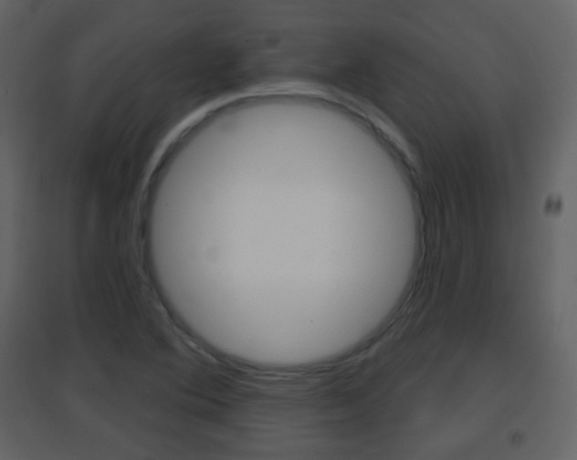 X0000096691364200802051027
