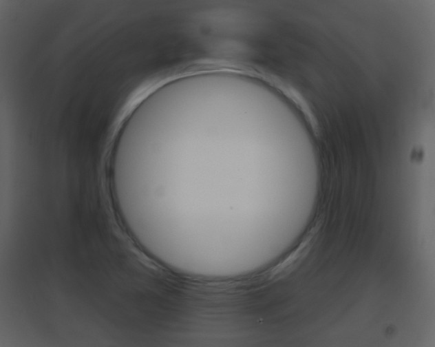 X0000096691365200802051027