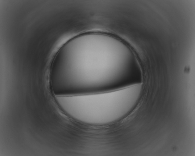 X0000096691367200802051027