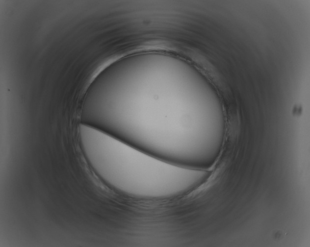 X0000096691369200802051027