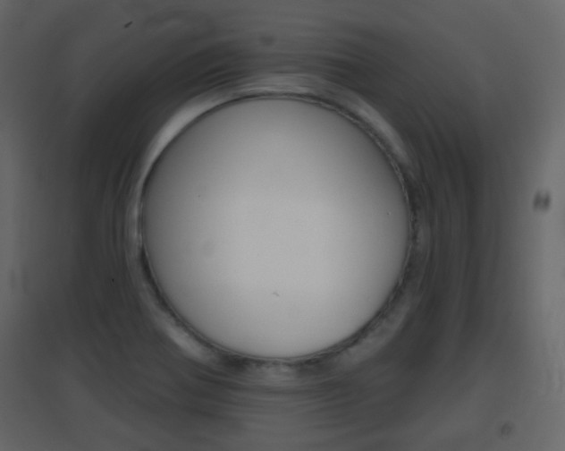X0000096691370200802051027