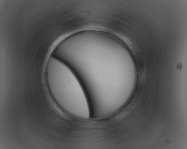 X0000096691371200802051027