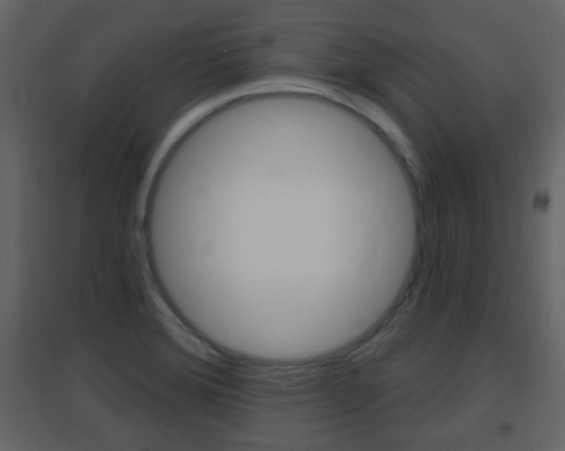 X0000096691372200802051027