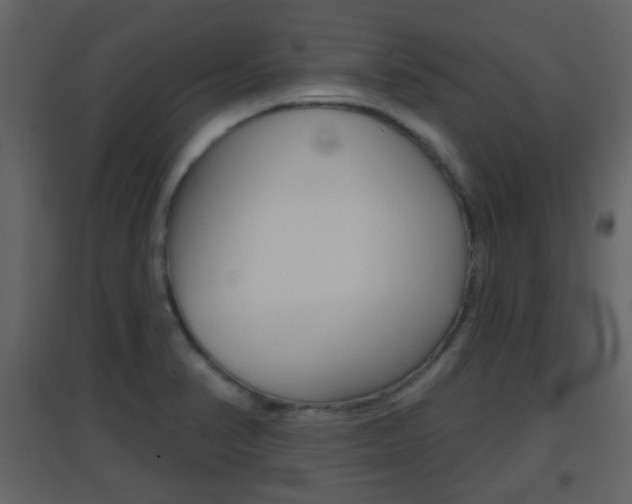 X0000096691374200802051027