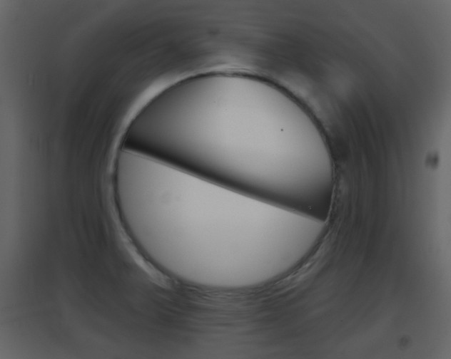 X0000096691375200802051027