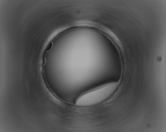 X0000096691376200802051027