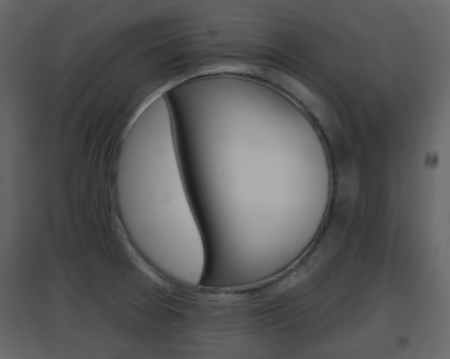 X0000096691377200802051027