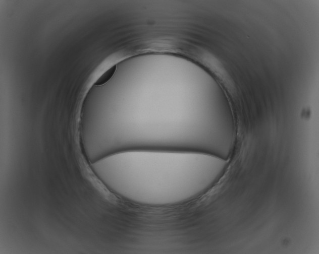 X0000096691378200802051027