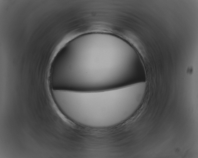 X0000096691379200802051027