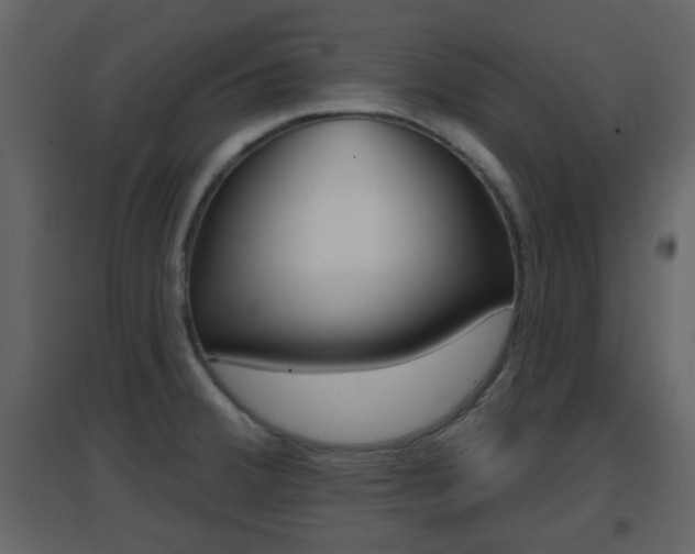 X0000096691380200802051027