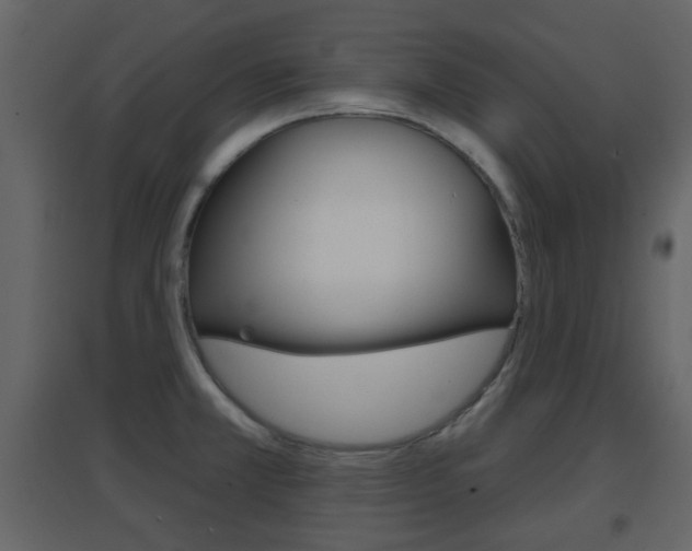 X0000096691381200802051027