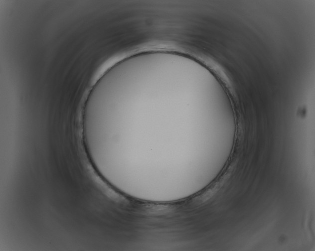 X0000096691382200802051027