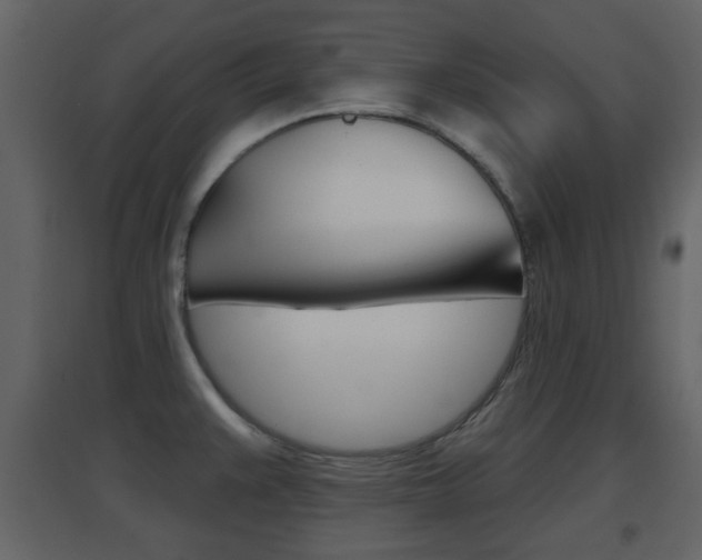 X0000096691383200802051027