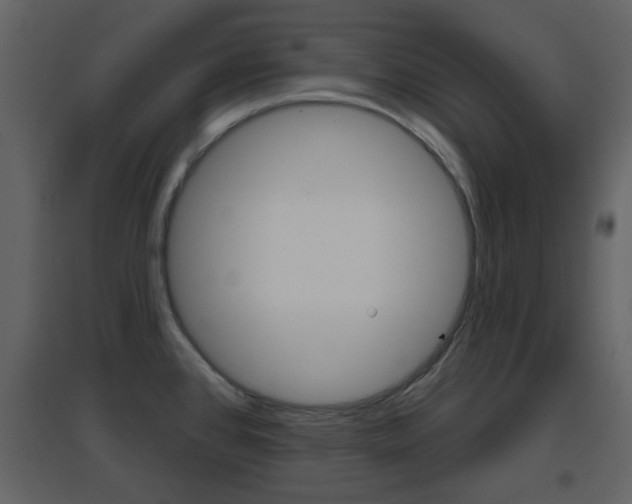 X0000096691384200802051027