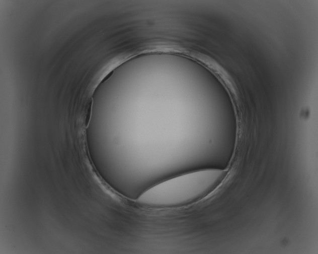 X0000096691385200802051027