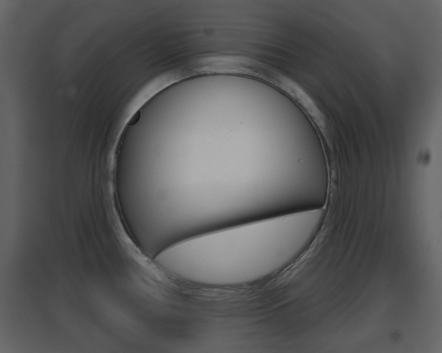 X0000096691386200802051027