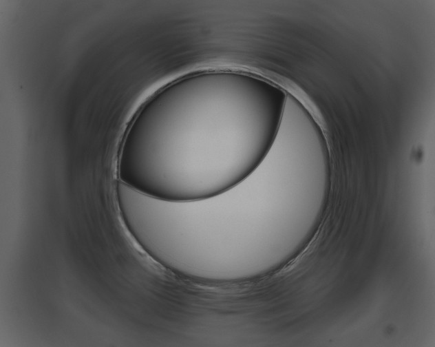 X0000096691388200802051027