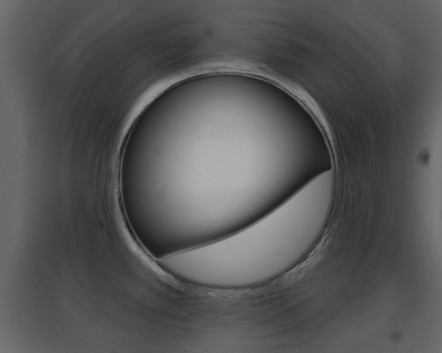 X0000096691389200802051027