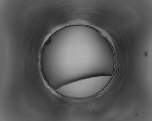 X0000096691390200802051027