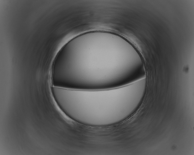 X0000096691391200802051027