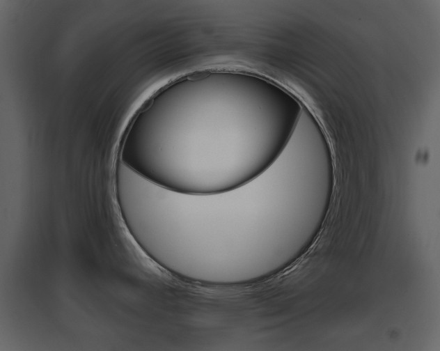 X0000096691392200802051027