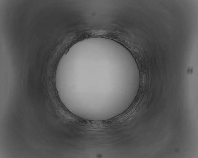 X0000096691393200802051026