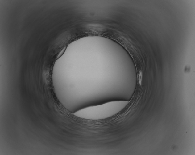X0000096691395200802051026