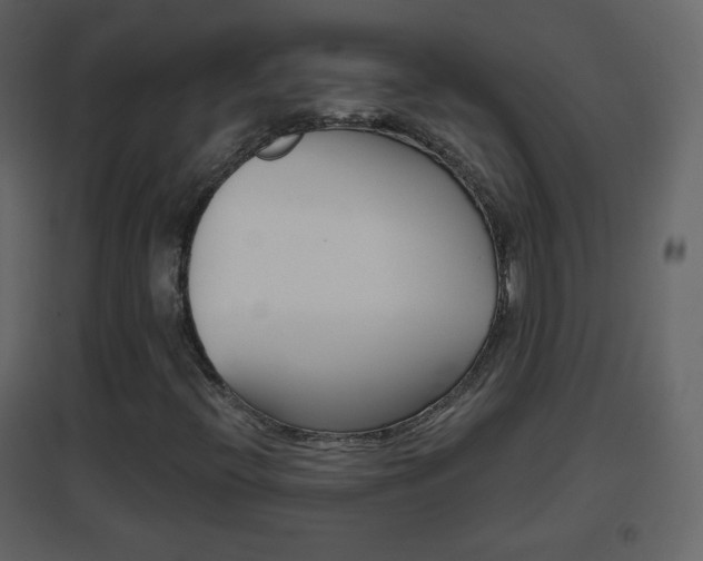 X0000096691396200802051026