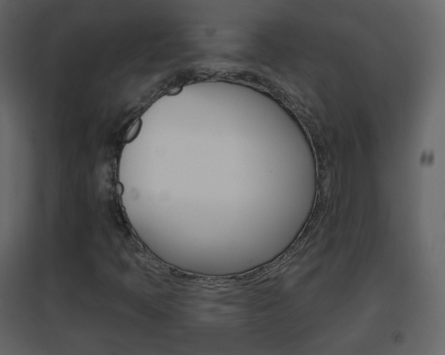 X0000096691397200802051026