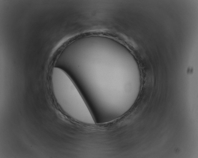 X0000096691400200802051026