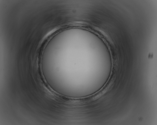 X0000096691402200802051026