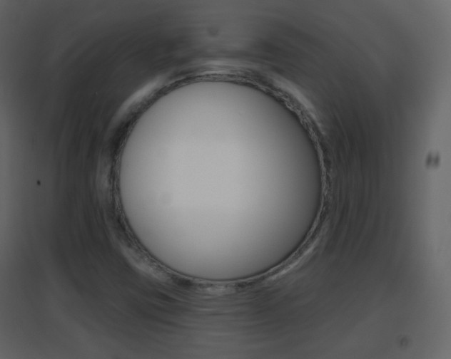 X0000096691403200802051026