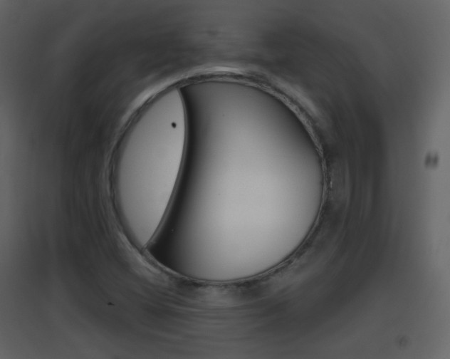 X0000096691404200802051026