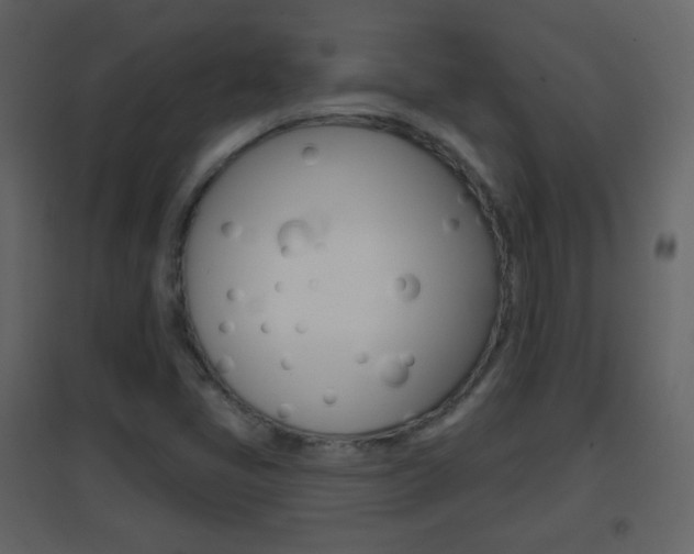 X0000096691405200802051026
