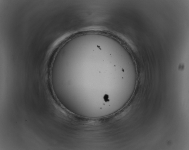 X0000096691406200802051026