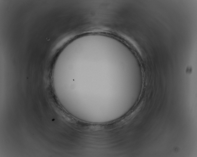X0000096691407200802051026