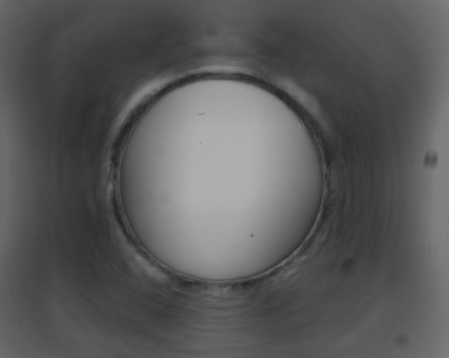 X0000096691408200802051026