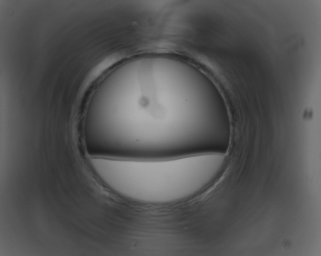 X0000096691410200802051026