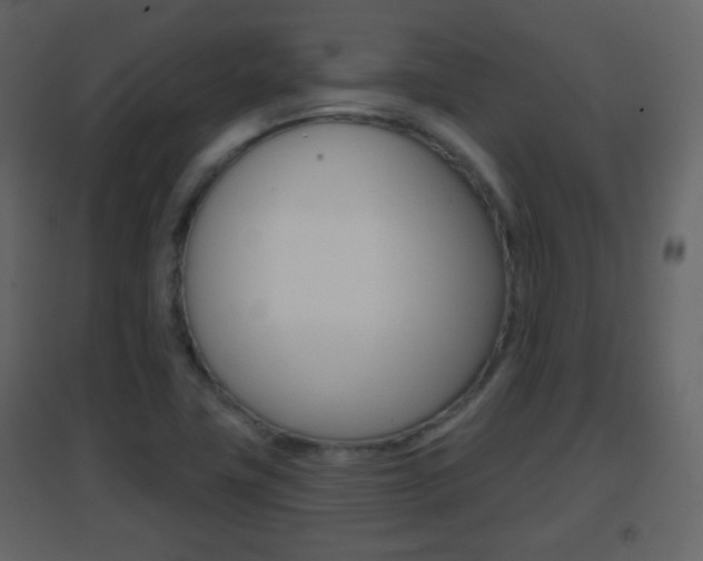 X0000096691411200802051026