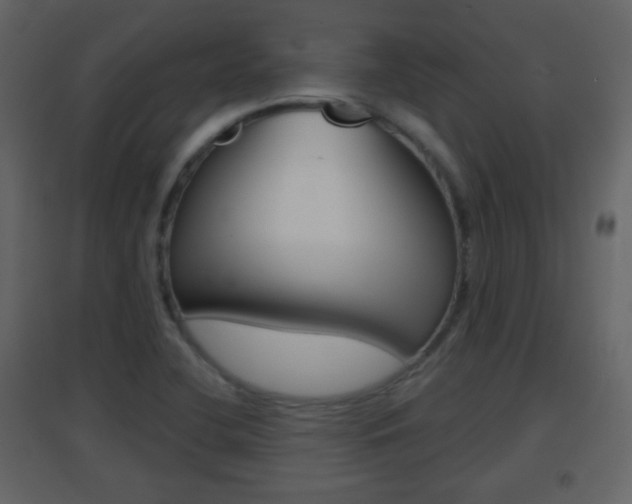 X0000096691412200802051026