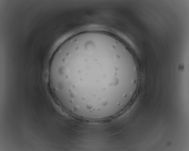 X0000096691413200802051026